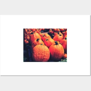 Pumpkins on a Pallet Posters and Art